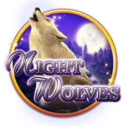 game11 361 bet cassino on-line