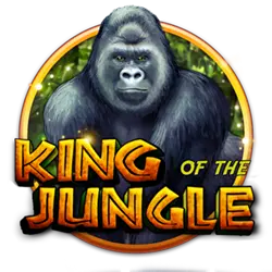 game11 foden cassino entretenimento